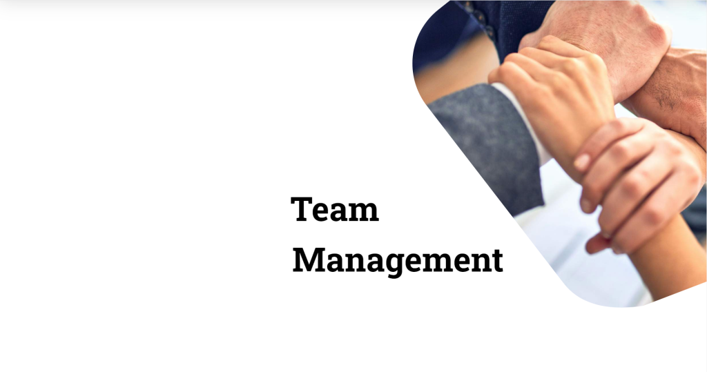 Mastering Team Management